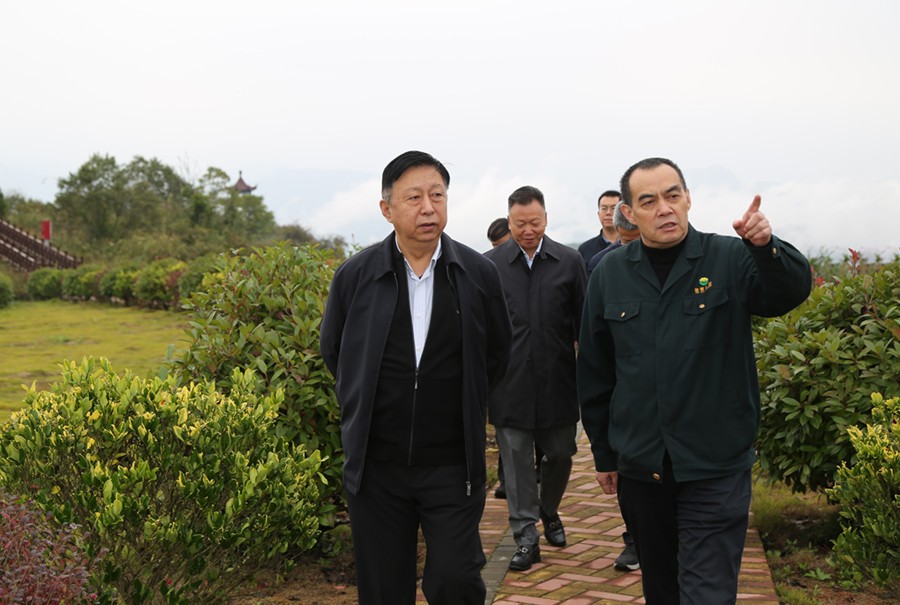 19-2021年10月，原國土資源部副部長汪民蒞臨公司調研。.jpg